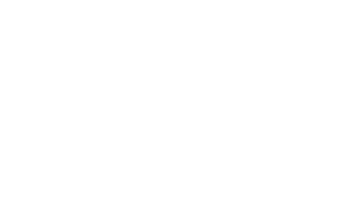 Custom Paving